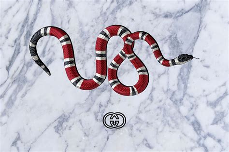 gucci snakes on a plane|origin of gucci snake.